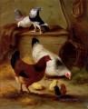 Pigeons And Chickens farm animals Edgar Hunt